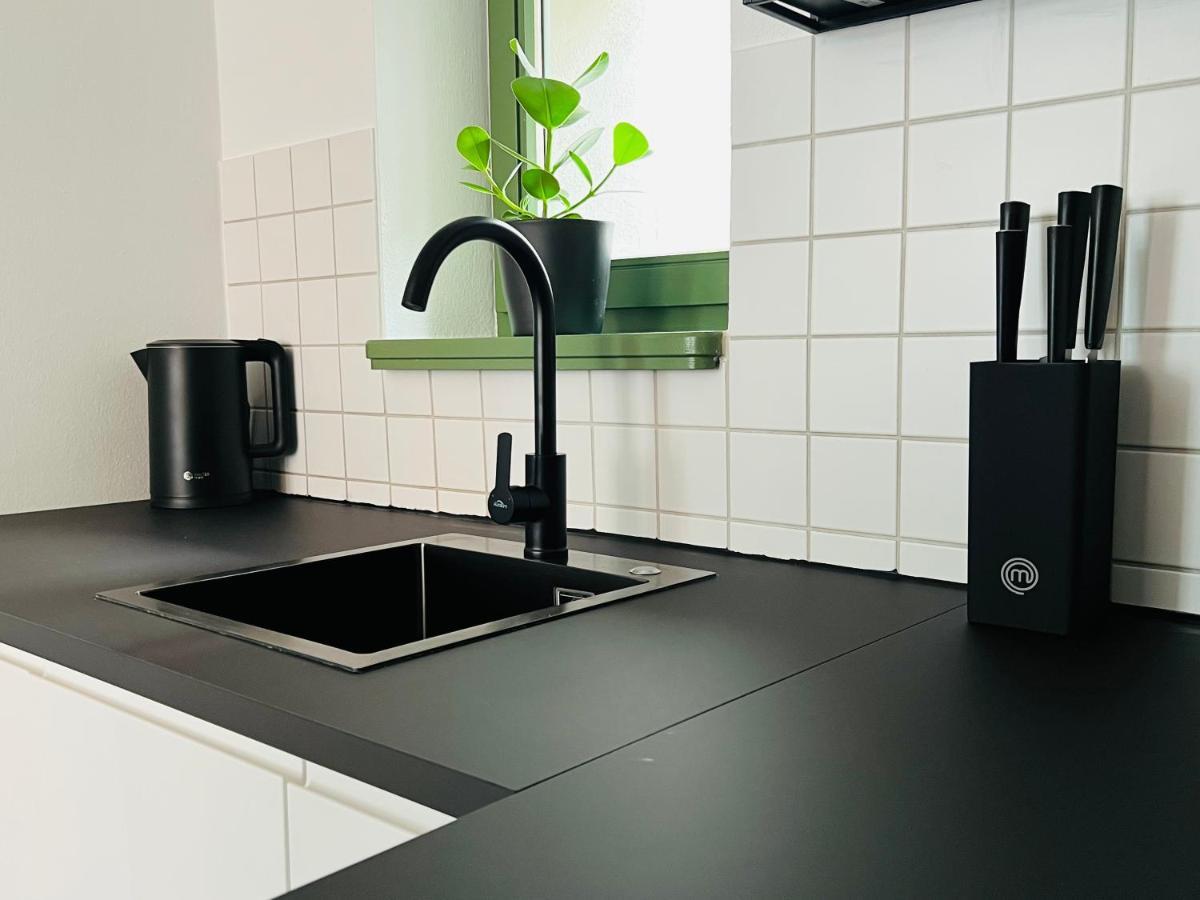 Hip & Minimalist - Stadt Apartments Am Malerweg Pirna Esterno foto